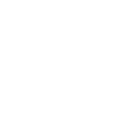 star-icon